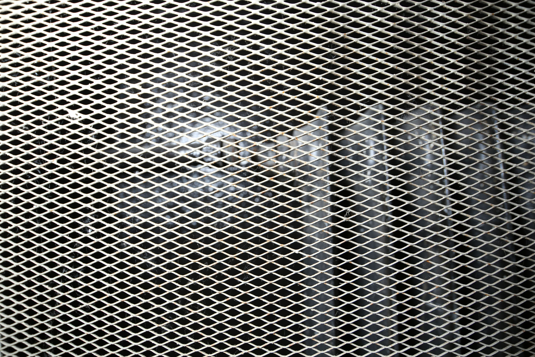 Aufnahmen vom 7.10.2012 des Raums 112 im Erdgeschoss des Ostflügels der zentralen Untersuchungshaftanstalt des Ministerium für Staatssicherheit der Deutschen Demokratischen Republik in Berlin-Hohenschönhausen, Foto 77