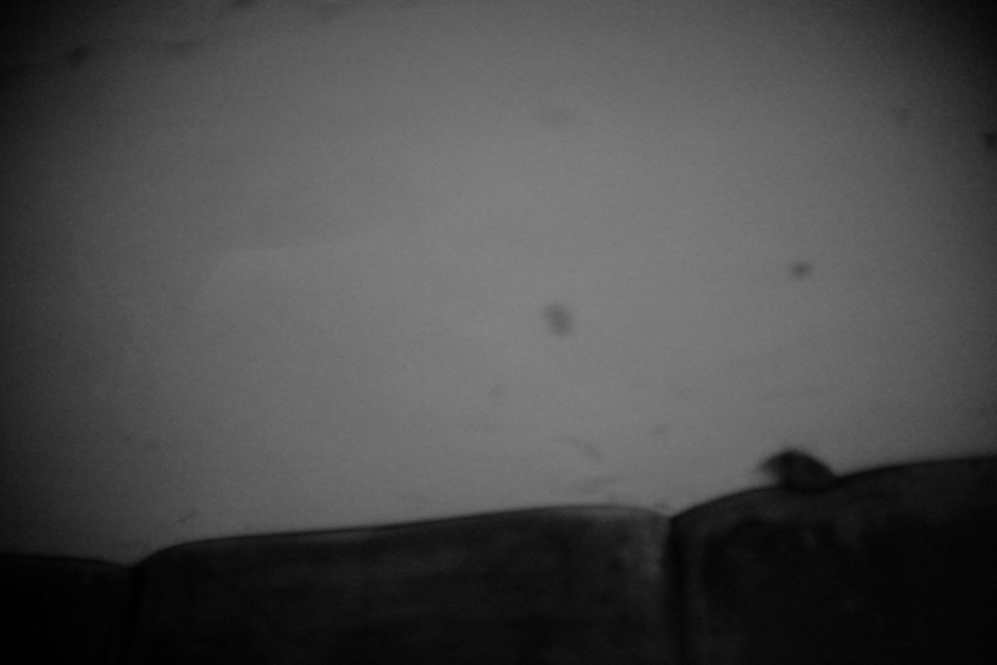 Aufnahmen vom 2.8.2011 des Raums 2 im Kellergeschoss des Nordflügels der zentralen Untersuchungshaftanstalt des Ministerium für Staatssicherheit der Deutschen Demokratischen Republik in Berlin-Hohenschönhausen, Foto 134