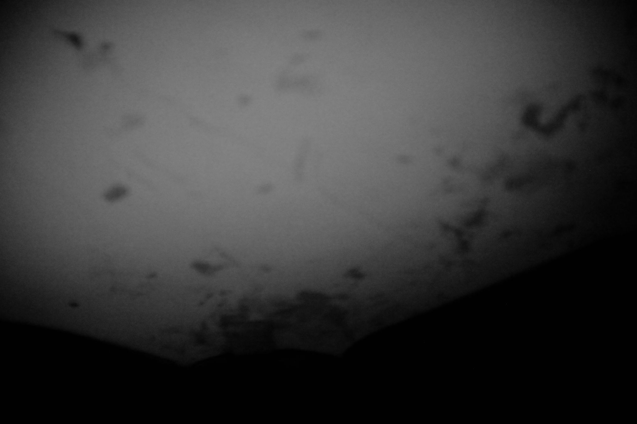 Aufnahmen vom 2.8.2011 des Raums 2 im Kellergeschoss des Nordflügels der zentralen Untersuchungshaftanstalt des Ministerium für Staatssicherheit der Deutschen Demokratischen Republik in Berlin-Hohenschönhausen, Foto 137