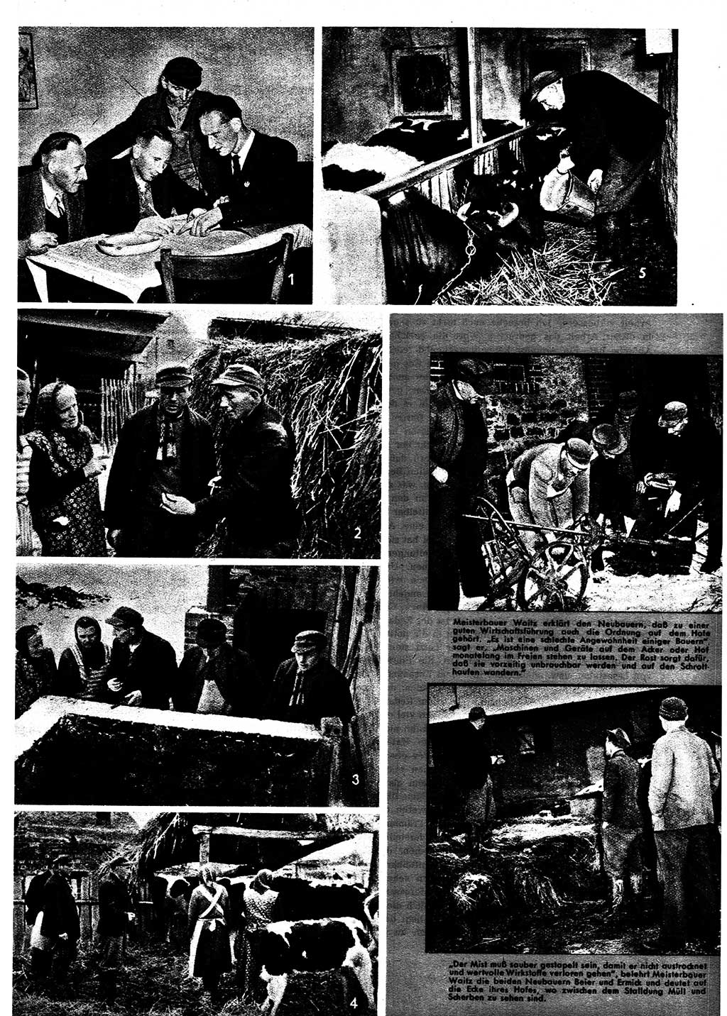 Neuer Weg (NW), Halbmonatsschrift für aktuelle Fragen der Arbeiterbewegung [Zentralkomitee (ZK) Sozialistische Einheitspartei Deutschlands (SED)], 7. Jahrgang [Deutsche Demokratische Republik (DDR)] 1952, Heft 5/15 (NW ZK SED DDR 1952, H. 5/15)