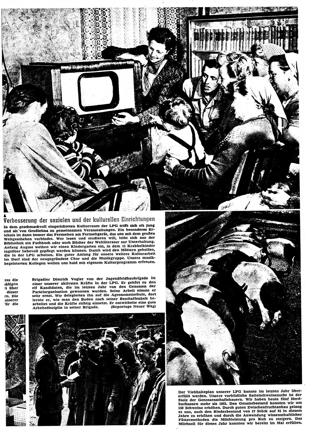 Neuer Weg (NW), Organ des Zentralkomitees (ZK) der SED (Sozialistische Einheitspartei Deutschlands) für alle Parteiarbeiter, 9. Jahrgang [Deutsche Demokratische Republik (DDR)] 1954, Heft 14/15 (NW ZK SED DDR 1954, H. 14/15)