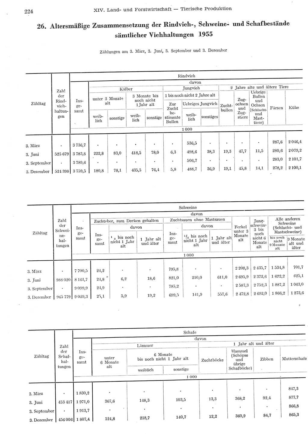 Statistisches Jahrbuch der Deutschen Demokratischen Republik (DDR) 1955, Seite 224 (Stat. Jb. DDR 1955, S. 224)