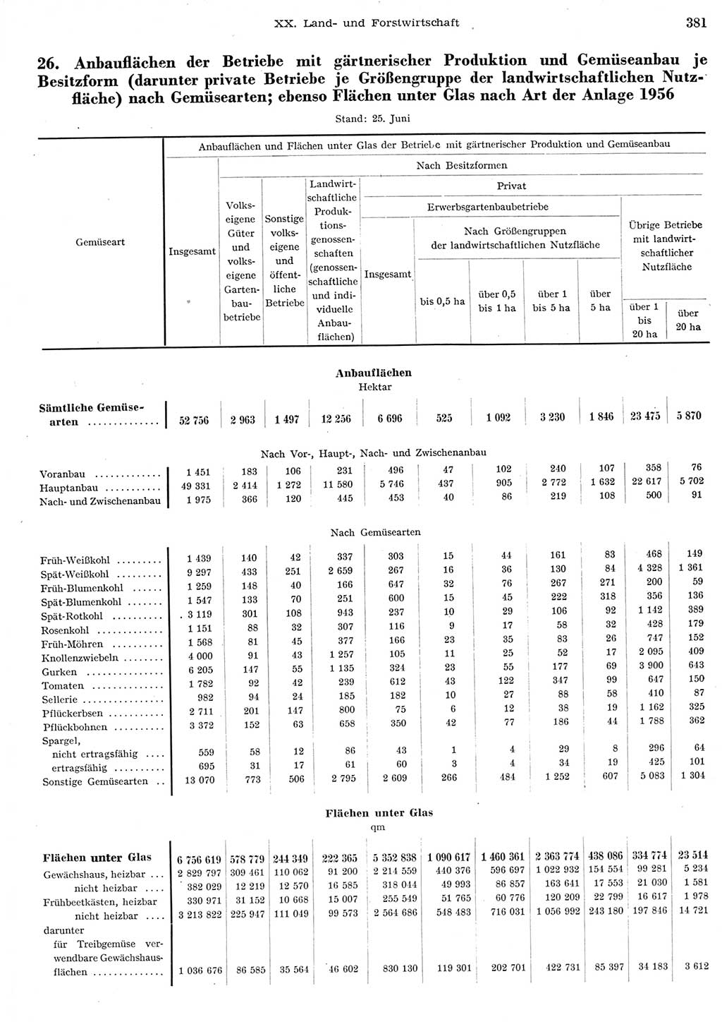 Statistisches Jahrbuch der Deutschen Demokratischen Republik (DDR) 1956, Seite 381 (Stat. Jb. DDR 1956, S. 381)