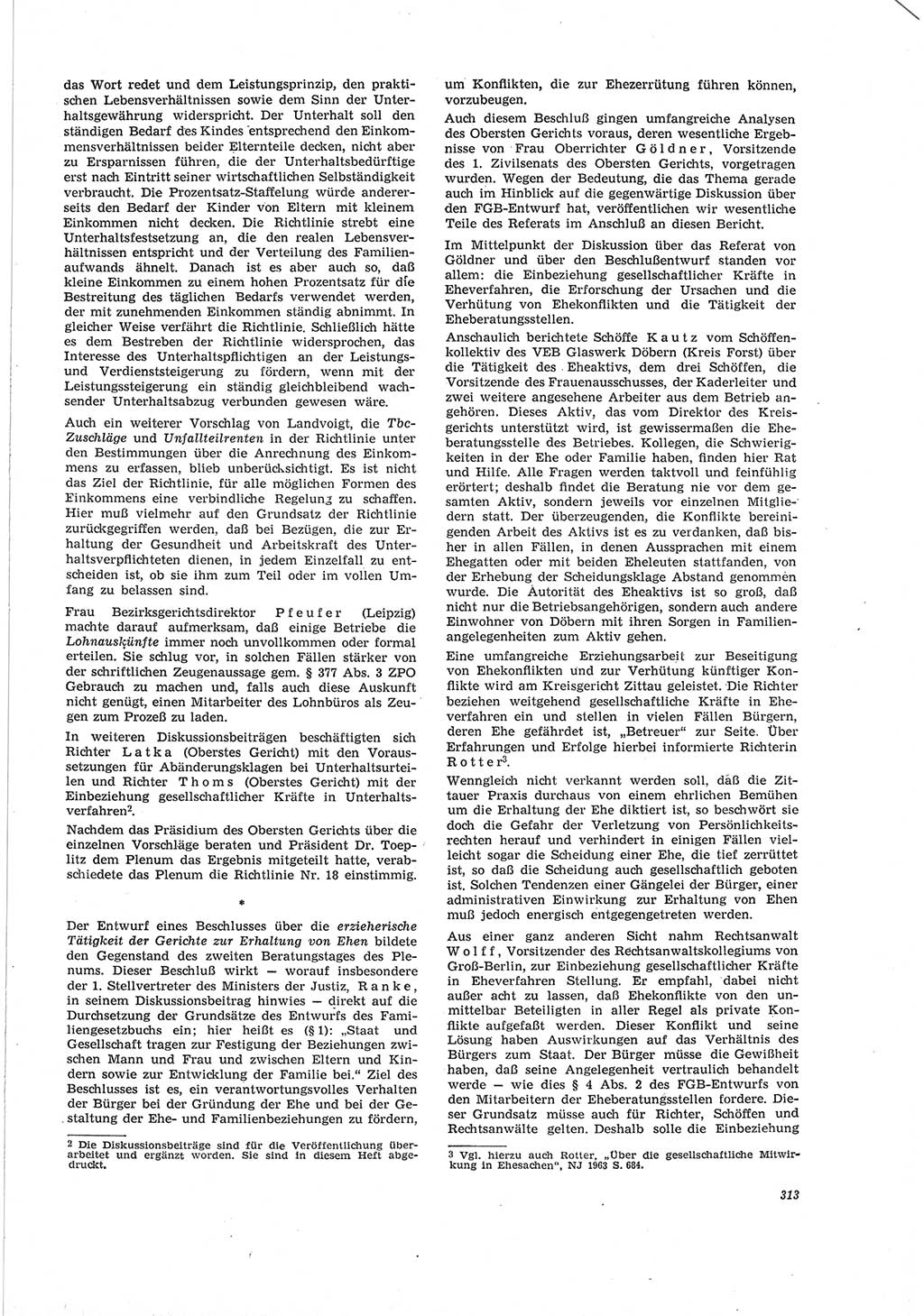 Neue Justiz (NJ), Zeitschrift für Recht und Rechtswissenschaft [Deutsche Demokratische Republik (DDR)], 19. Jahrgang 1965, Seite 313 (NJ DDR 1965, S. 313)