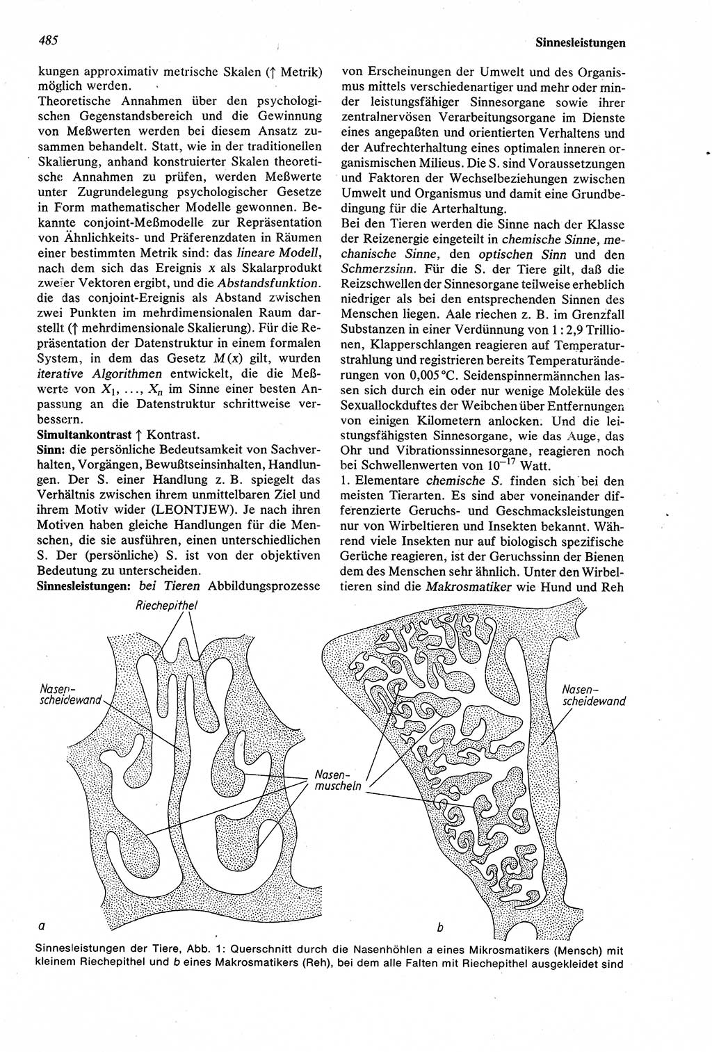 Wörterbuch der Psychologie [Deutsche Demokratische Republik (DDR)] 1976, Seite 485 (Wb. Psych. DDR 1976, S. 485)