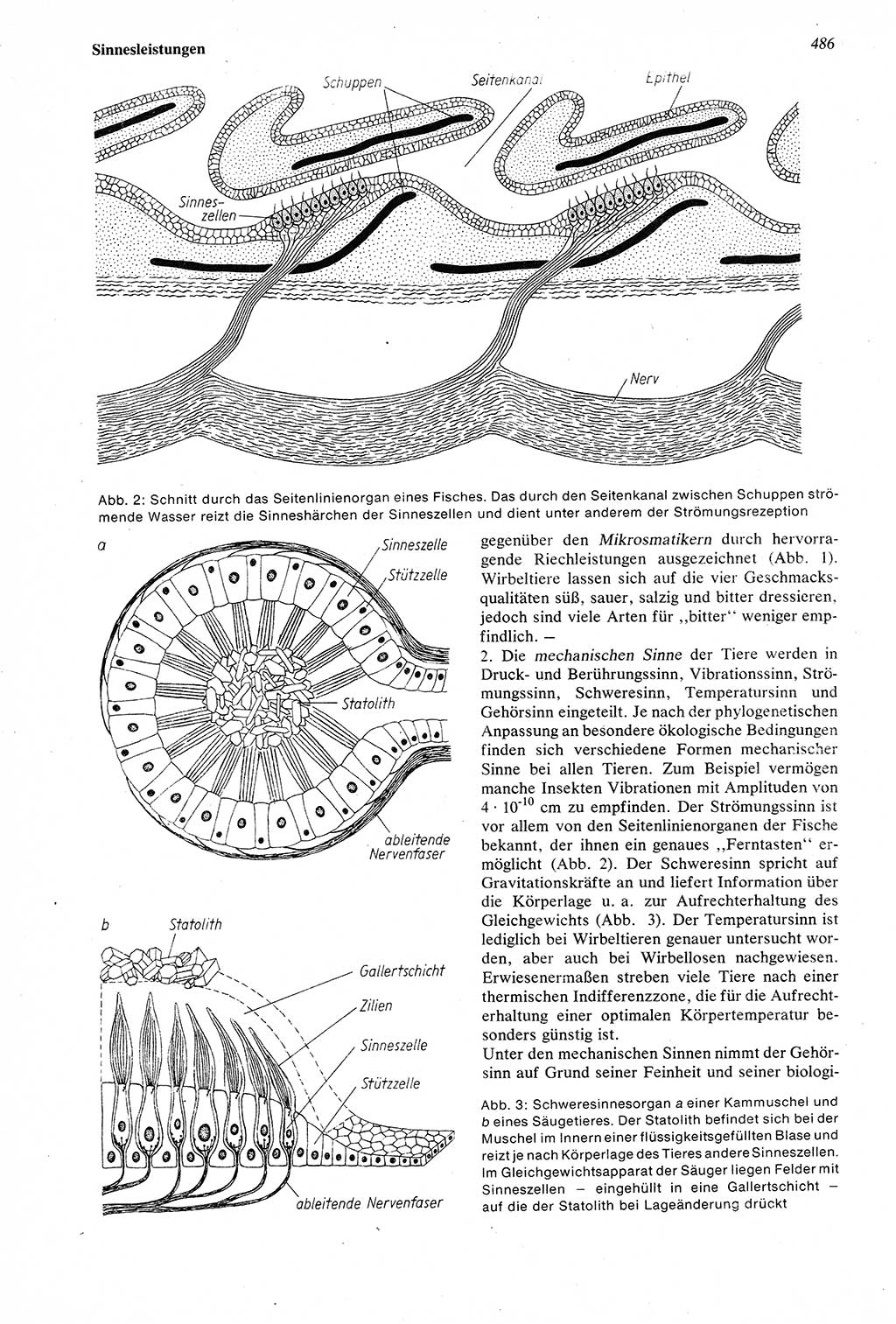 Wörterbuch der Psychologie [Deutsche Demokratische Republik (DDR)] 1976, Seite 486 (Wb. Psych. DDR 1976, S. 486)