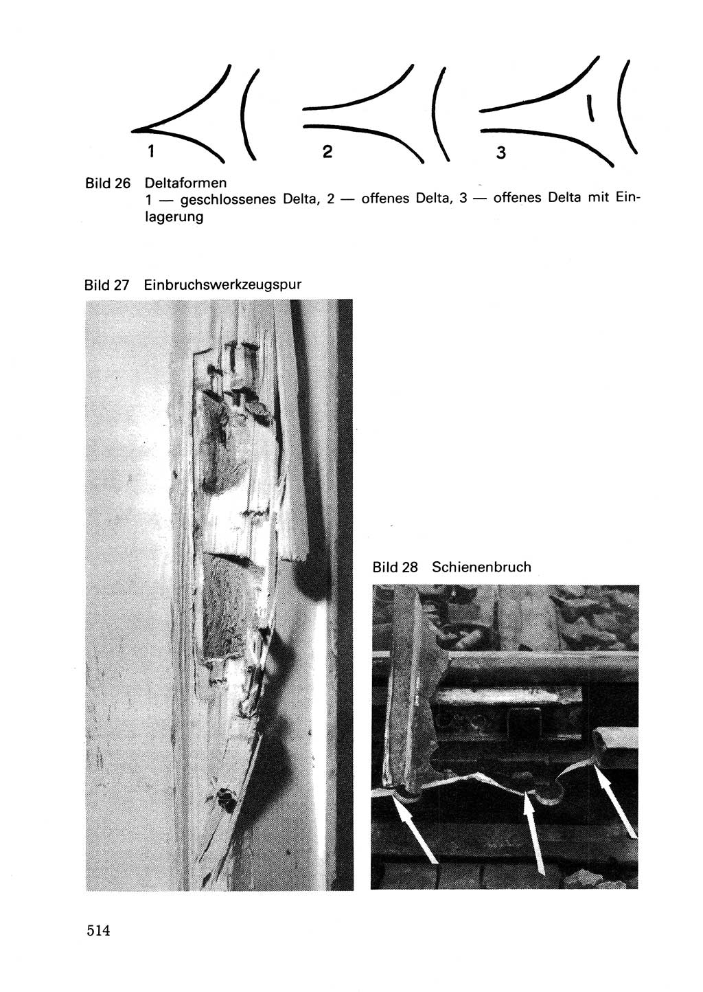 Wörterbuch der sozialistischen Kriminalistik [Deutsche Demokratische Republik (DDR)] 1981, Seite 513 (Wb. soz. Krim. DDR 1981, S. 513)