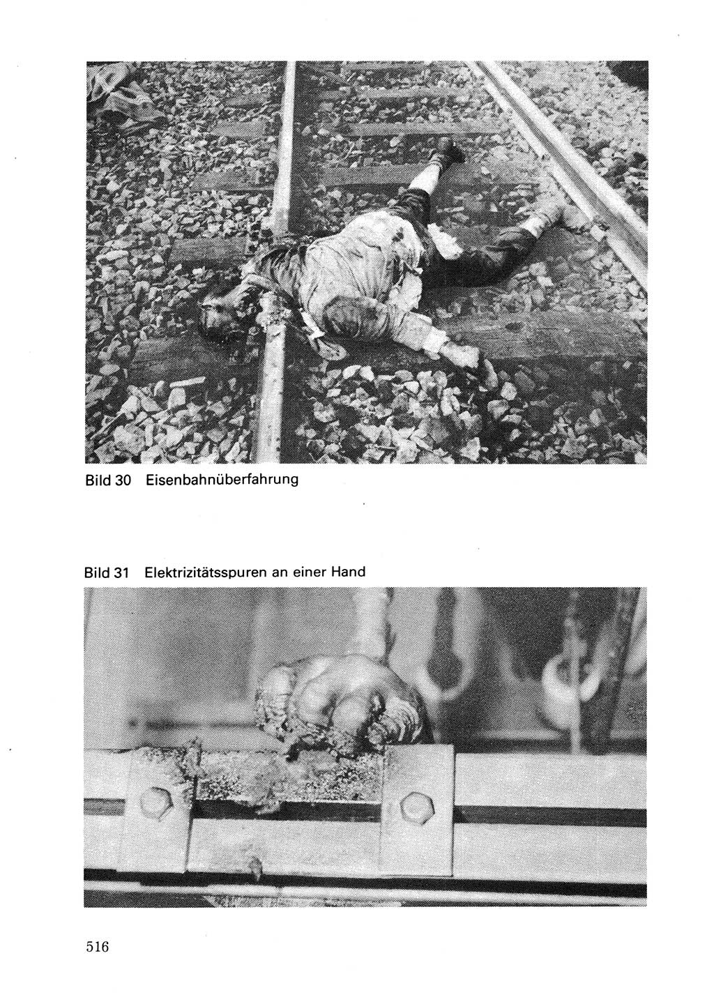 Wörterbuch der sozialistischen Kriminalistik [Deutsche Demokratische Republik (DDR)] 1981, Seite 515 (Wb. soz. Krim. DDR 1981, S. 515)