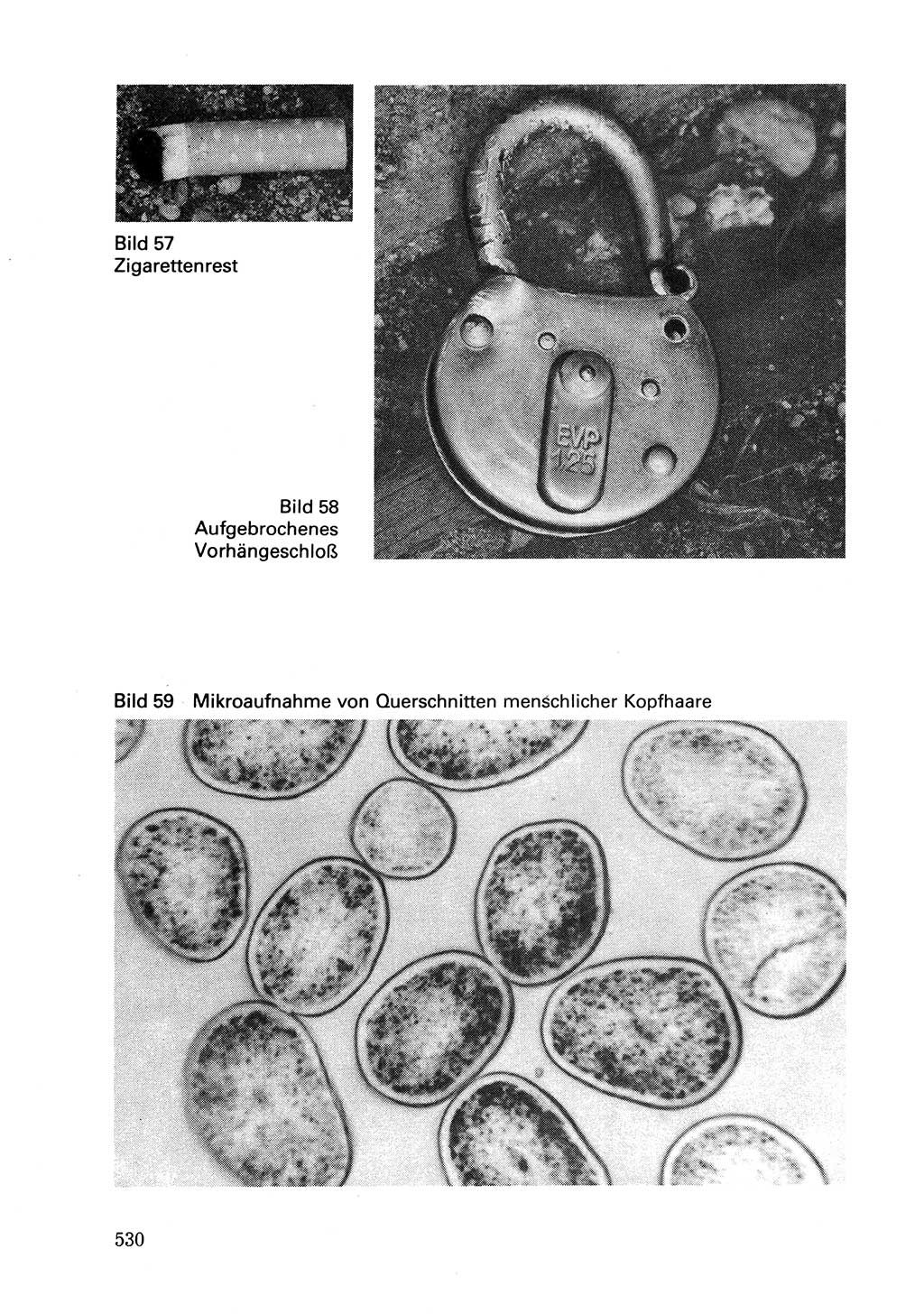 Wörterbuch der sozialistischen Kriminalistik [Deutsche Demokratische Republik (DDR)] 1981, Seite 529 (Wb. soz. Krim. DDR 1981, S. 529)