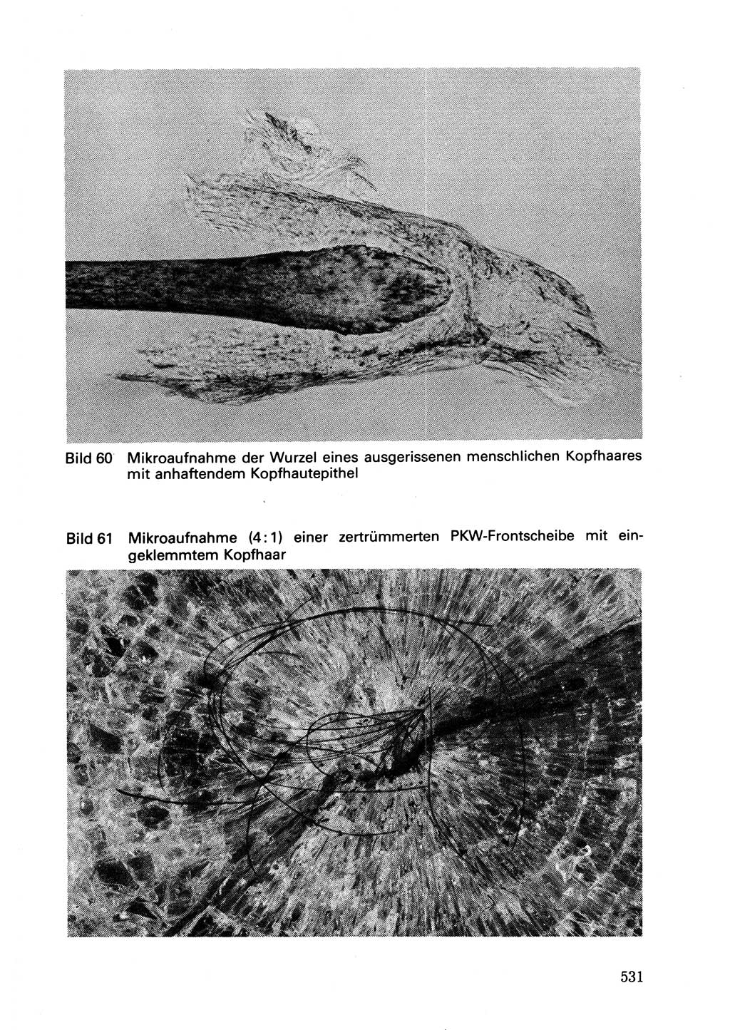 Wörterbuch der sozialistischen Kriminalistik [Deutsche Demokratische Republik (DDR)] 1981, Seite 530 (Wb. soz. Krim. DDR 1981, S. 530)