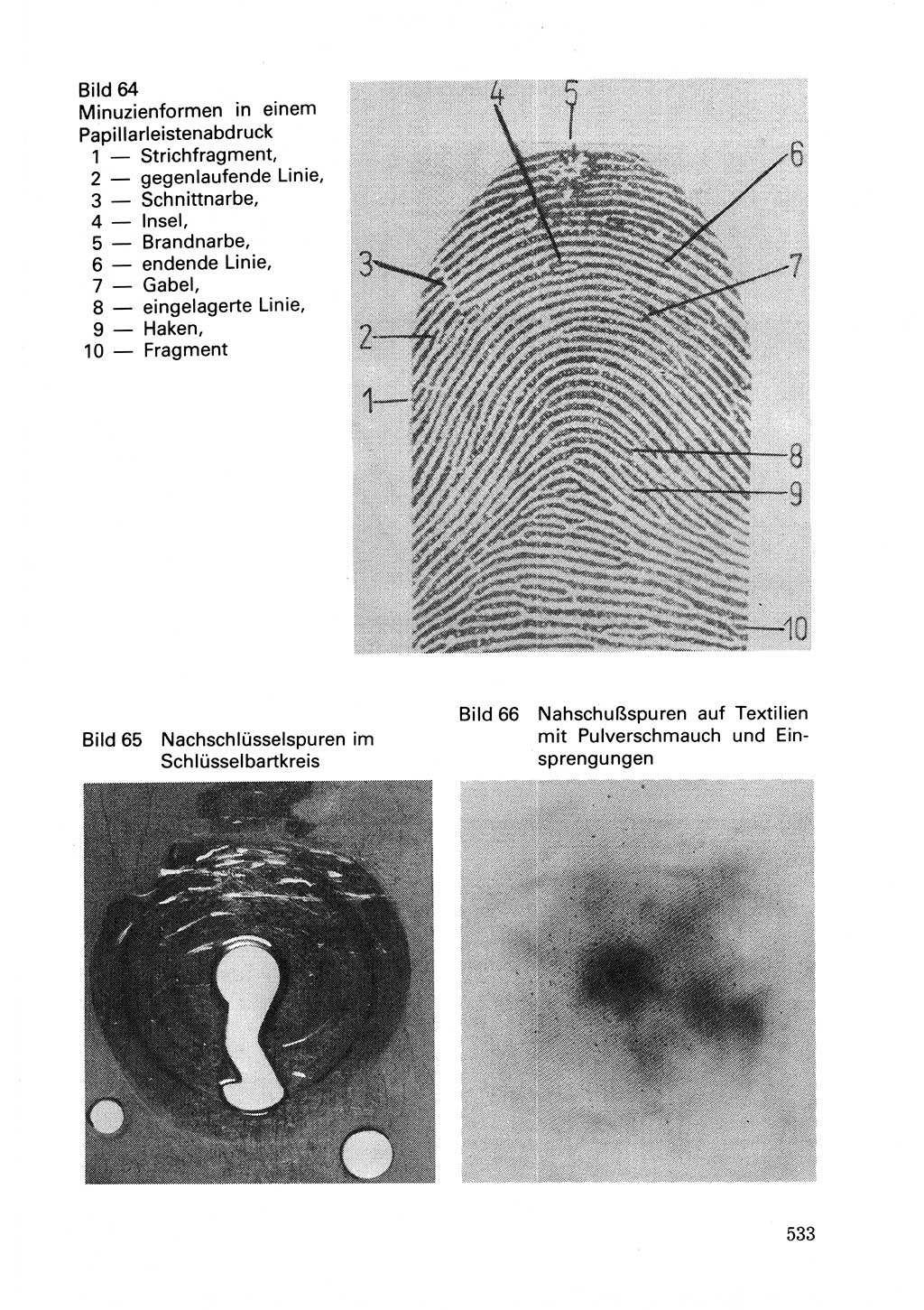 Wörterbuch der sozialistischen Kriminalistik [Deutsche Demokratische Republik (DDR)] 1981, Seite 532 (Wb. soz. Krim. DDR 1981, S. 532)
