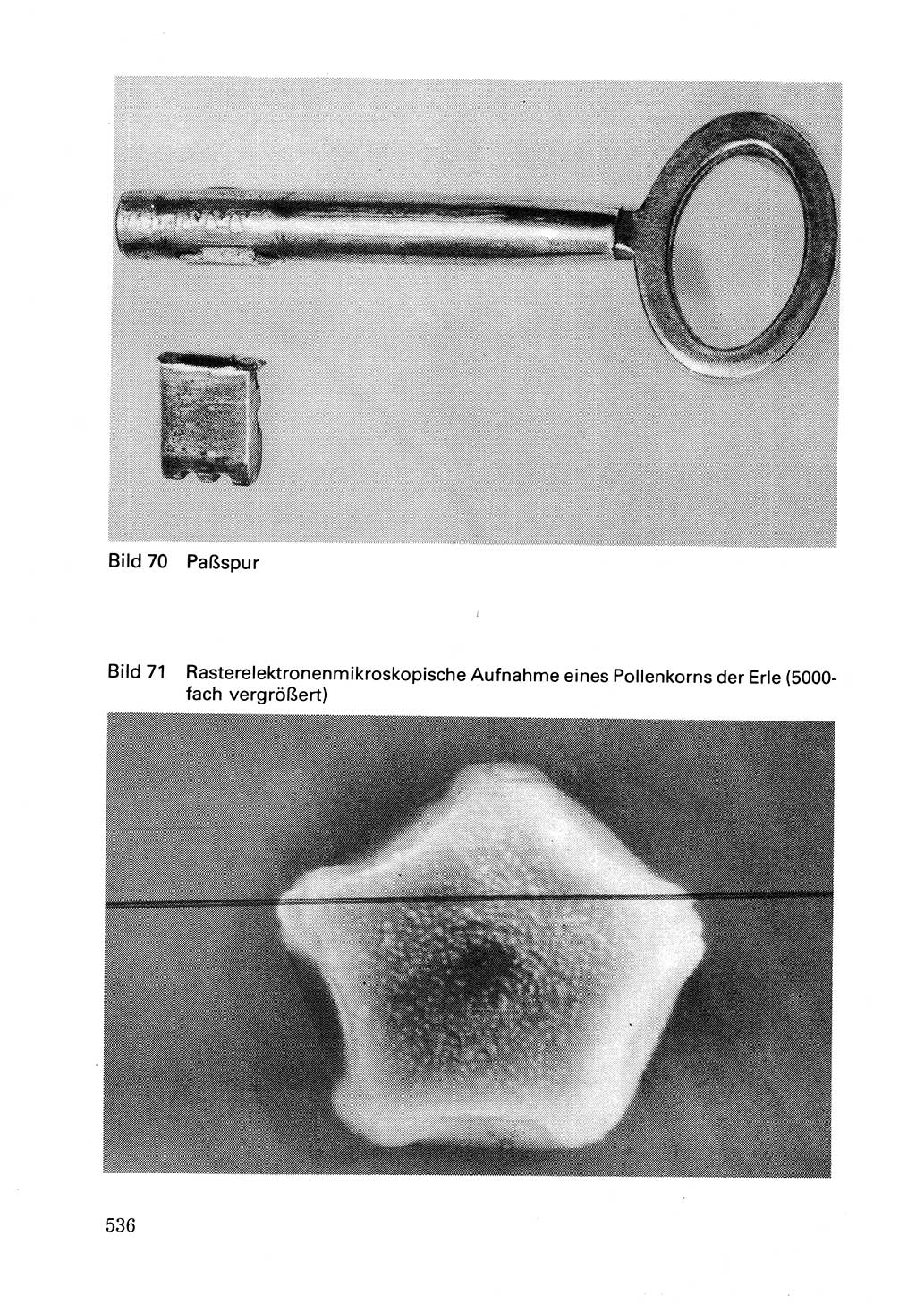 Wörterbuch der sozialistischen Kriminalistik [Deutsche Demokratische Republik (DDR)] 1981, Seite 535 (Wb. soz. Krim. DDR 1981, S. 535)