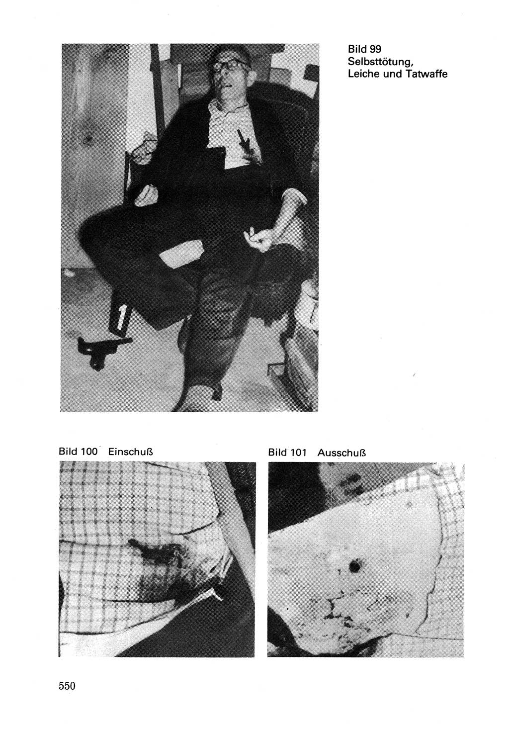 Wörterbuch der sozialistischen Kriminalistik [Deutsche Demokratische Republik (DDR)] 1981, Seite 549 (Wb. soz. Krim. DDR 1981, S. 549)