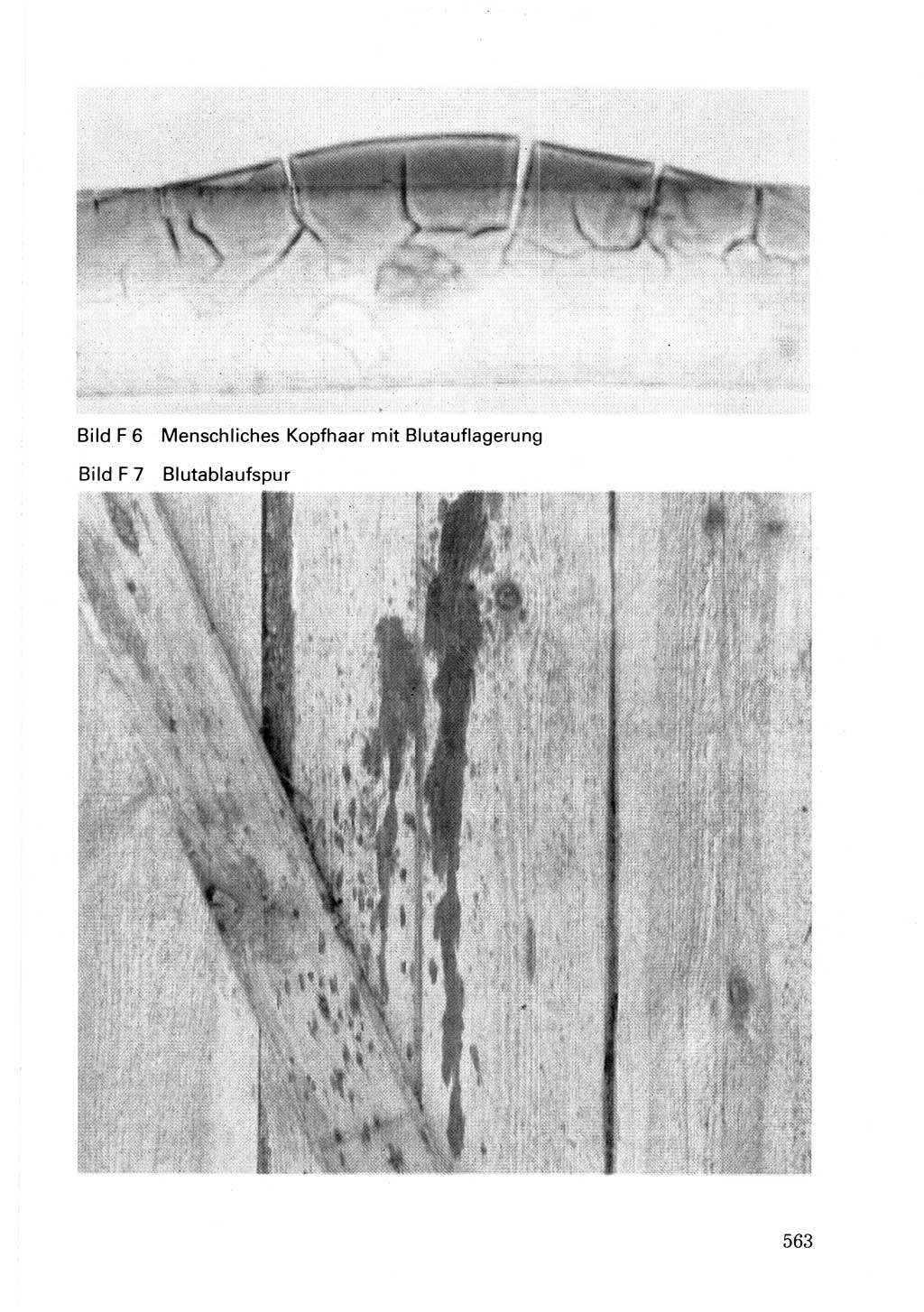 Wörterbuch der sozialistischen Kriminalistik [Deutsche Demokratische Republik (DDR)] 1981, Seite 562 (Wb. soz. Krim. DDR 1981, S. 562)