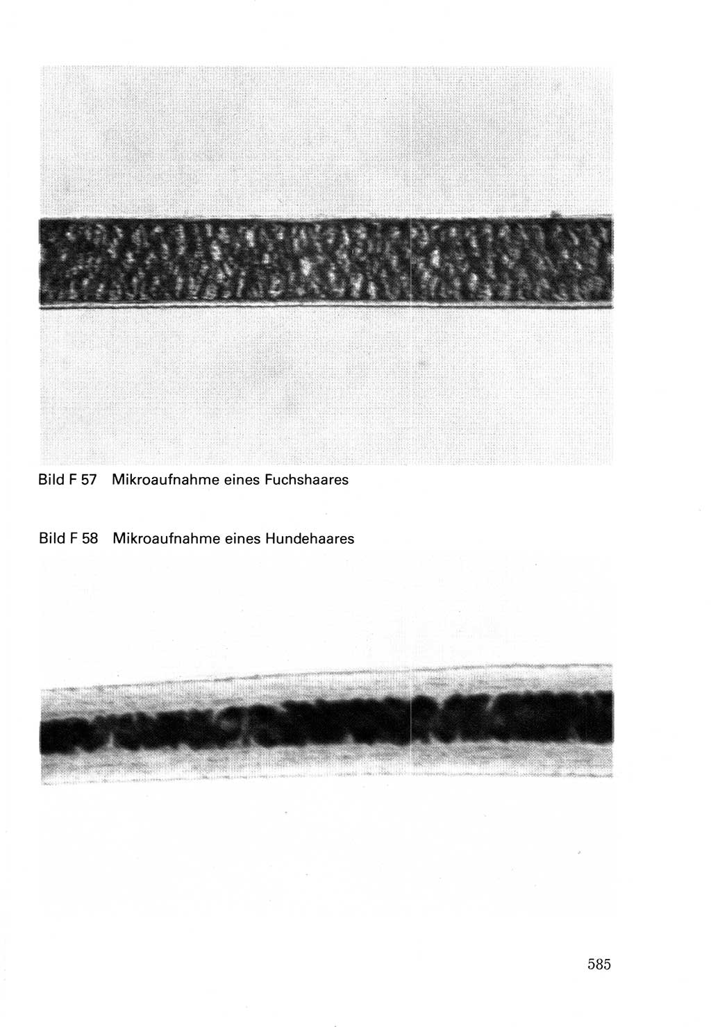 Wörterbuch der sozialistischen Kriminalistik [Deutsche Demokratische Republik (DDR)] 1981, Seite 584 (Wb. soz. Krim. DDR 1981, S. 584)