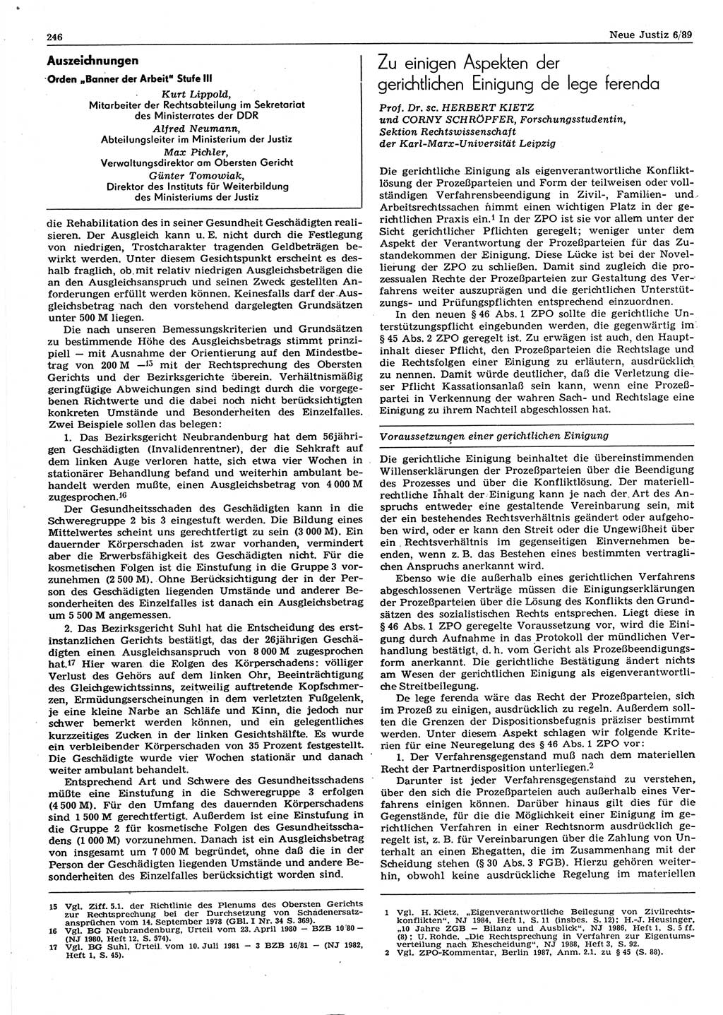 Neue Justiz (NJ), Zeitschrift für sozialistisches Recht und Gesetzlichkeit [Deutsche Demokratische Republik (DDR)], 43. Jahrgang 1989, Seite 246 (NJ DDR 1989, S. 246)