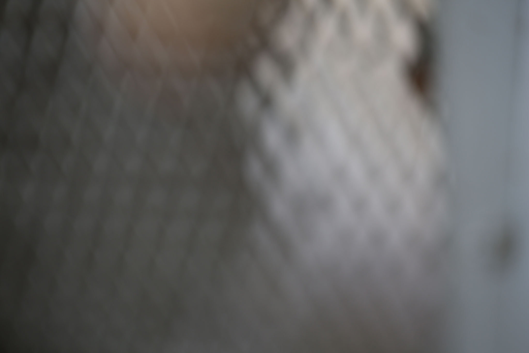 Aufnahmen vom 8.10.2012 des Raums 119 im Erdgeschoss des Nordflügels der zentralen Untersuchungshaftanstalt des Ministerium für Staatssicherheit der Deutschen Demokratischen Republik in Berlin-Hohenschönhausen, Foto 226
