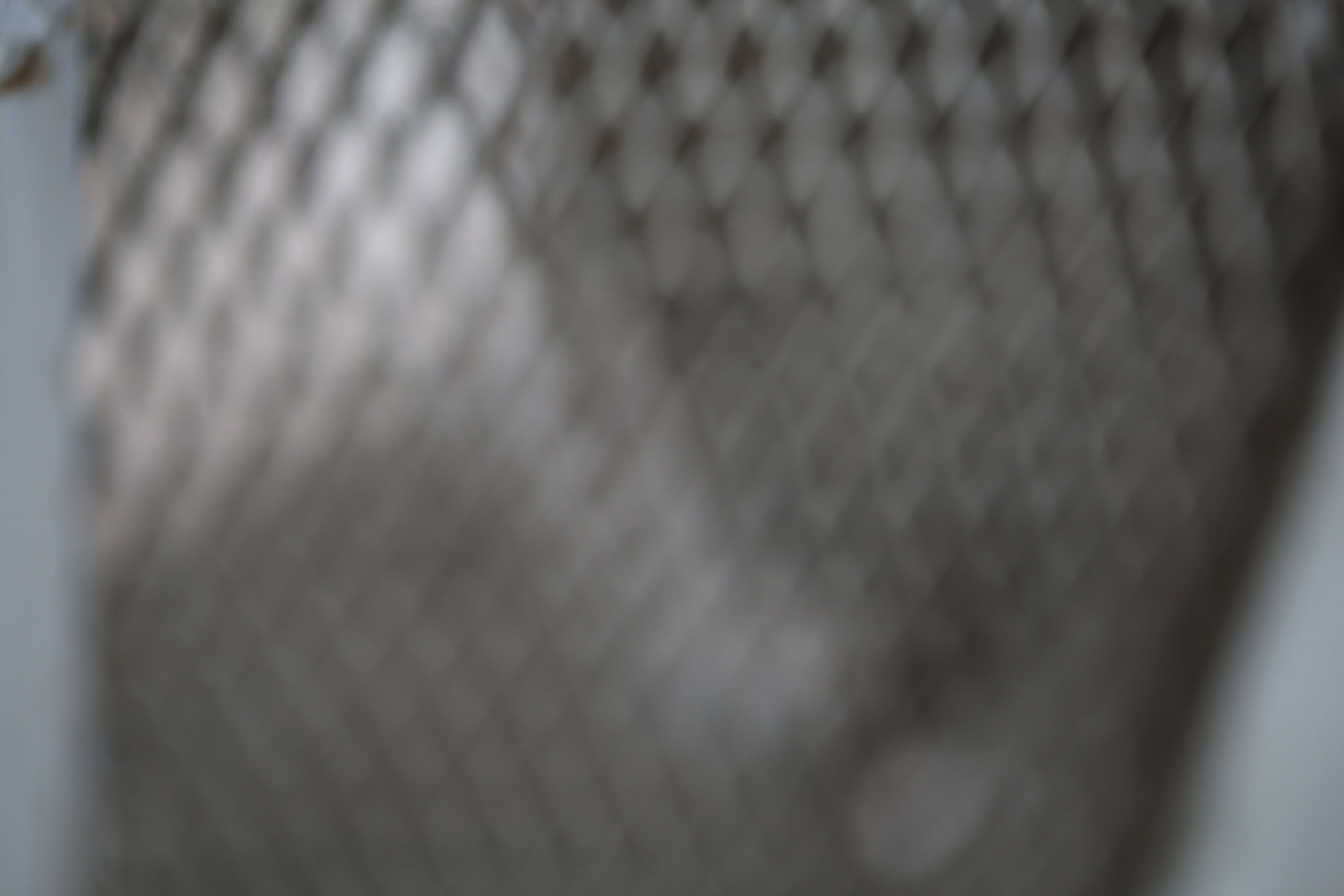 Aufnahmen vom 8.10.2012 des Raums 119 im Erdgeschoss des Nordflügels der zentralen Untersuchungshaftanstalt des Ministerium für Staatssicherheit der Deutschen Demokratischen Republik in Berlin-Hohenschönhausen, Foto 283
