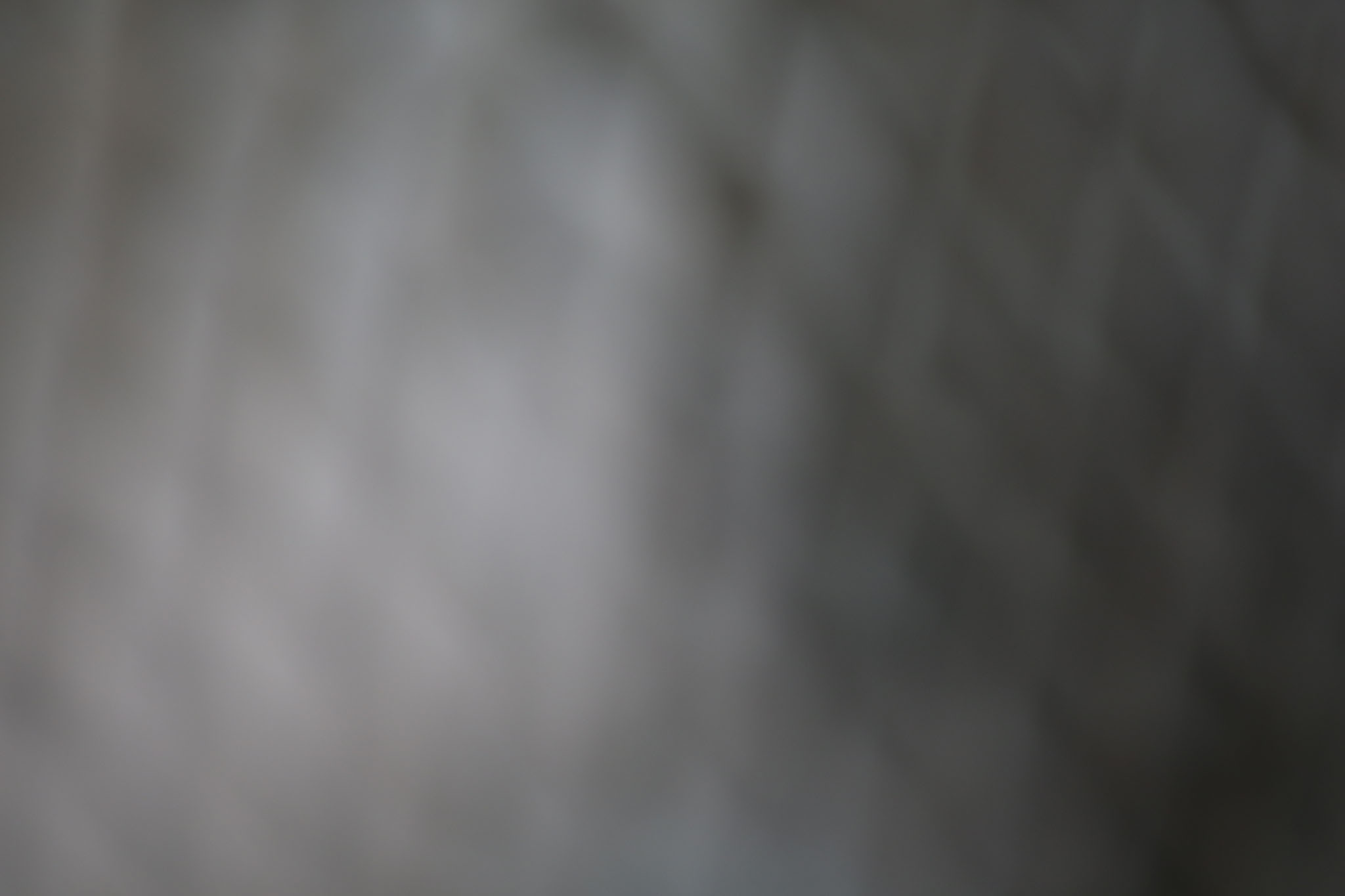 Aufnahmen vom 8.10.2012 des Raums 119 im Erdgeschoss des Nordflügels der zentralen Untersuchungshaftanstalt des Ministerium für Staatssicherheit der Deutschen Demokratischen Republik in Berlin-Hohenschönhausen, Foto 318