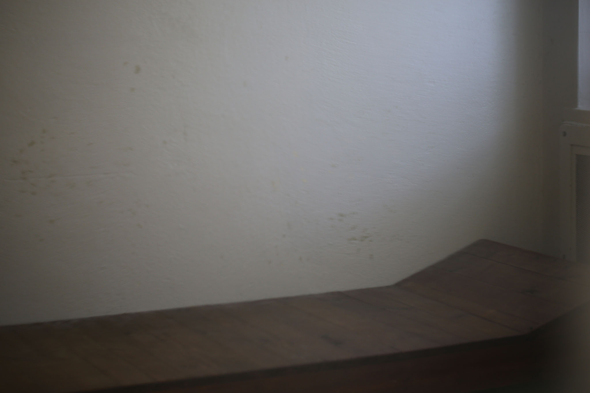 Aufnahmen vom 28.4.2012 des Raums 118 im Erdgeschoss des Ostflügels der Untersuchungshaftanstalt des Ministerium für Staatssicherheit der Deutschen Demokratischen Republik in Berlin-Hohenschönhausen, Foto 756