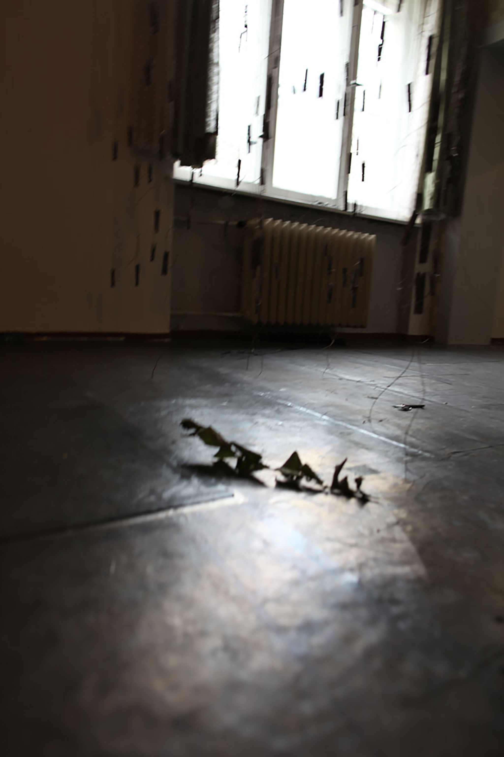 Aufnahmen vom 10.10.2010 des Raums 171 im Erdgeschoss des Südflügels der zentralen Untersuchungshaftanstalt des Ministerium für Staatssicherheit der Deutschen Demokratischen Republik in Berlin-Hohenschönhausen, Foto 761