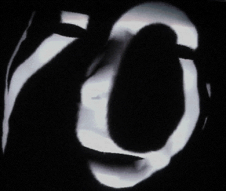 yo=