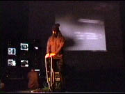 videobild
