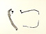 gvoon picture