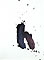 gvoon picture