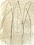gvoon picture