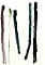 gvoon picture