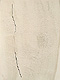gvoon picture