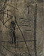 gvoon picture