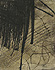 gvoon picture