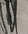 gvoon picture