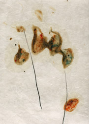 gvoon arthur schmidt