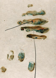 gvoon arthur schmidt