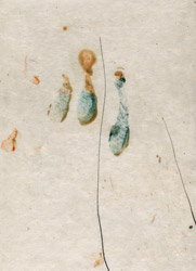 gvoon arthur schmidt