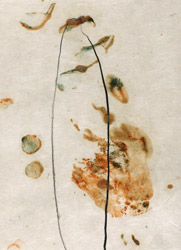 gvoon arthur schmidt