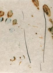 gvoon arthur schmidt