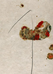 gvoon arthur schmidt