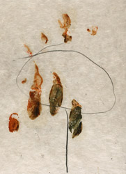 gvoon arthur schmidt