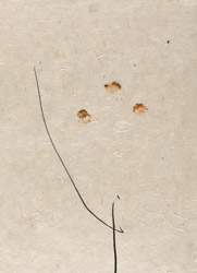 gvoon arthur schmidt