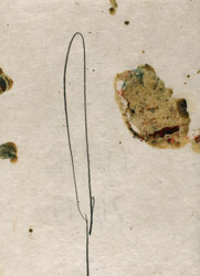gvoon arthur schmidt