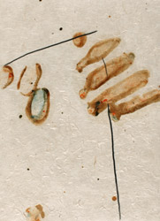 gvoon arthur schmidt