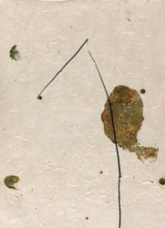 gvoon arthur schmidt