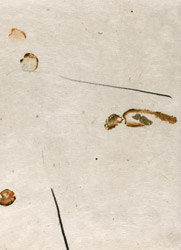 gvoon arthur schmidt
