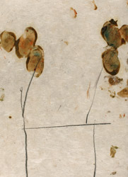 gvoon arthur schmidt