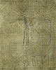 gvoon picture