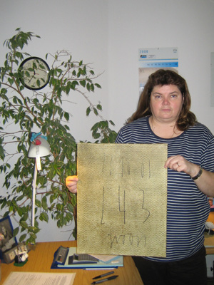 ausgesetztes bild nr. 243